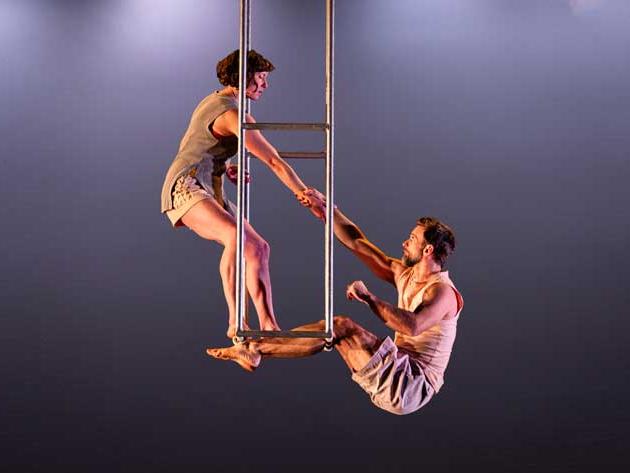 Collaborator-Brochure-Image---by-Jamie-Dennis